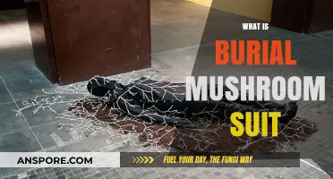 Mushroom Burial Suit: An Eco-Friendly Way to Rest