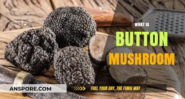 Mushroom Farming: Button Mushroom Basics
