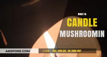 Candle Mushrooming: A Beginner's Guide to Wax