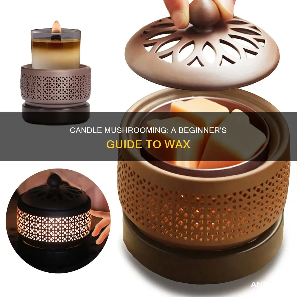 what is candle mushrooming