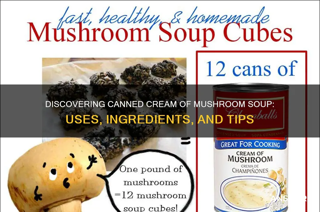 what is canned cream of mushroom soup