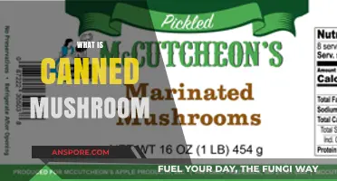 Exploring Canned Mushrooms: Convenience, Nutrition, and Culinary Uses
