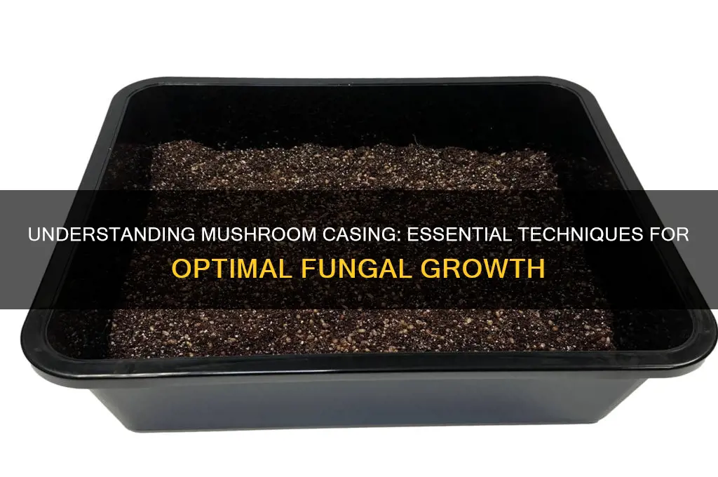 what is casing for growing mushrooms