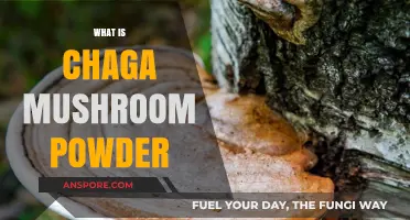 Chaga Mushroom Powder: Ancient Superfood, Modern Health