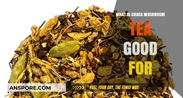 Chaga Mushroom Tea Benefits: Boosting Immunity, Energy, and Overall Health