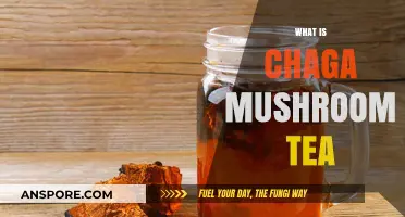 Chaga Mushroom Tea: Ancient Brew, Modern Benefits