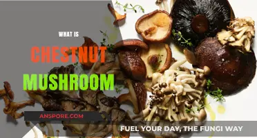 Chestnut Mushrooms: What They Are and How to Use Them