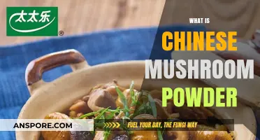 Mushroom Magic: Chinese Powder Superfood
