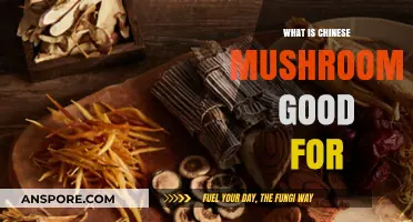 Chinese Mushrooms: Unlocking Health Benefits and Culinary Wonders