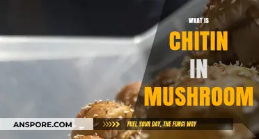 Chitin in Mushrooms: What is it?