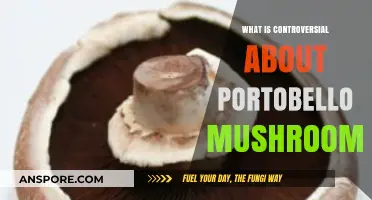 Portobello Mushrooms: Unveiling the Surprising Controversies Behind This Kitchen Staple