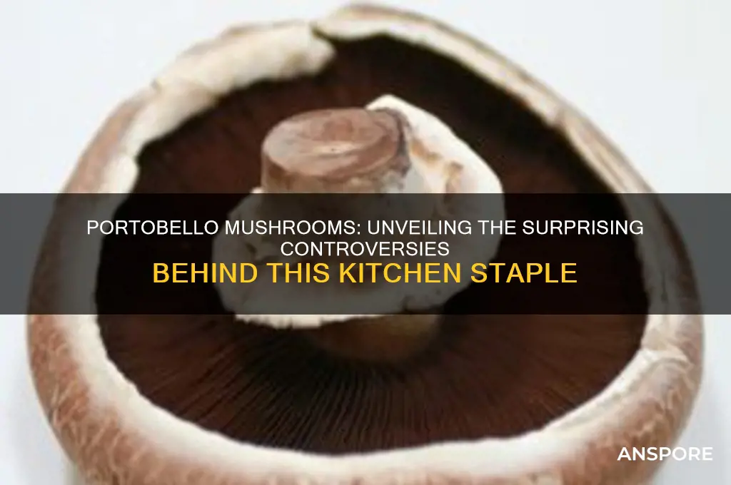 what is controversial about portobello mushrooms