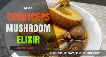 Cordyceps Mushroom Elixir: Ancient Superfood, Modern Health