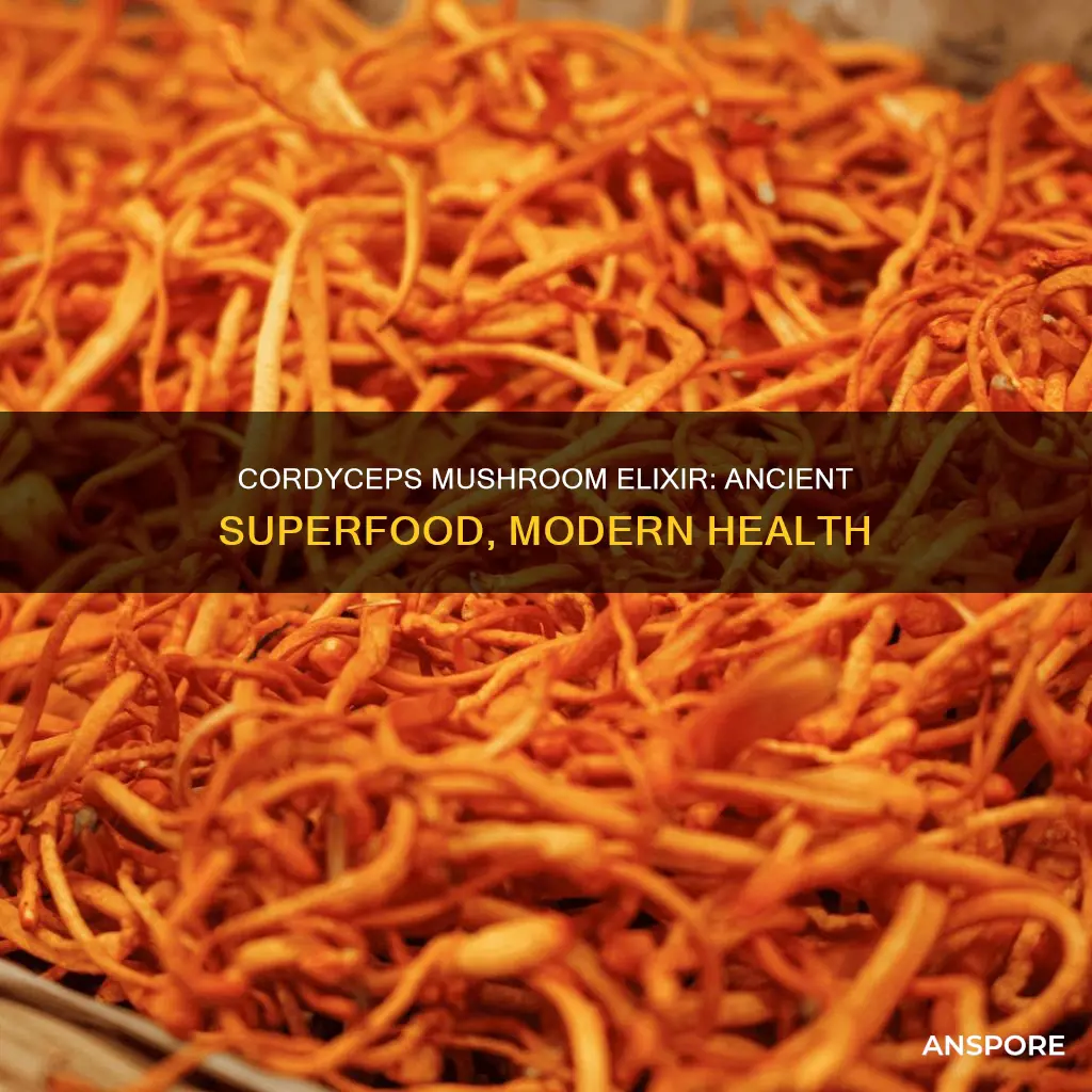 what is cordyceps mushroom elixir