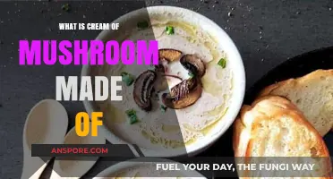 Cream of Mushroom Soup Ingredients: A Simple Breakdown of Its Components