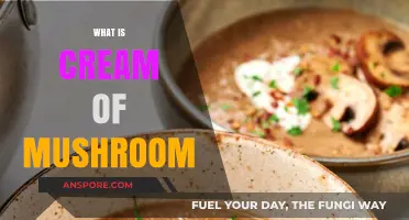 Mushroom Soup: What's in the Cream of Mushroom?