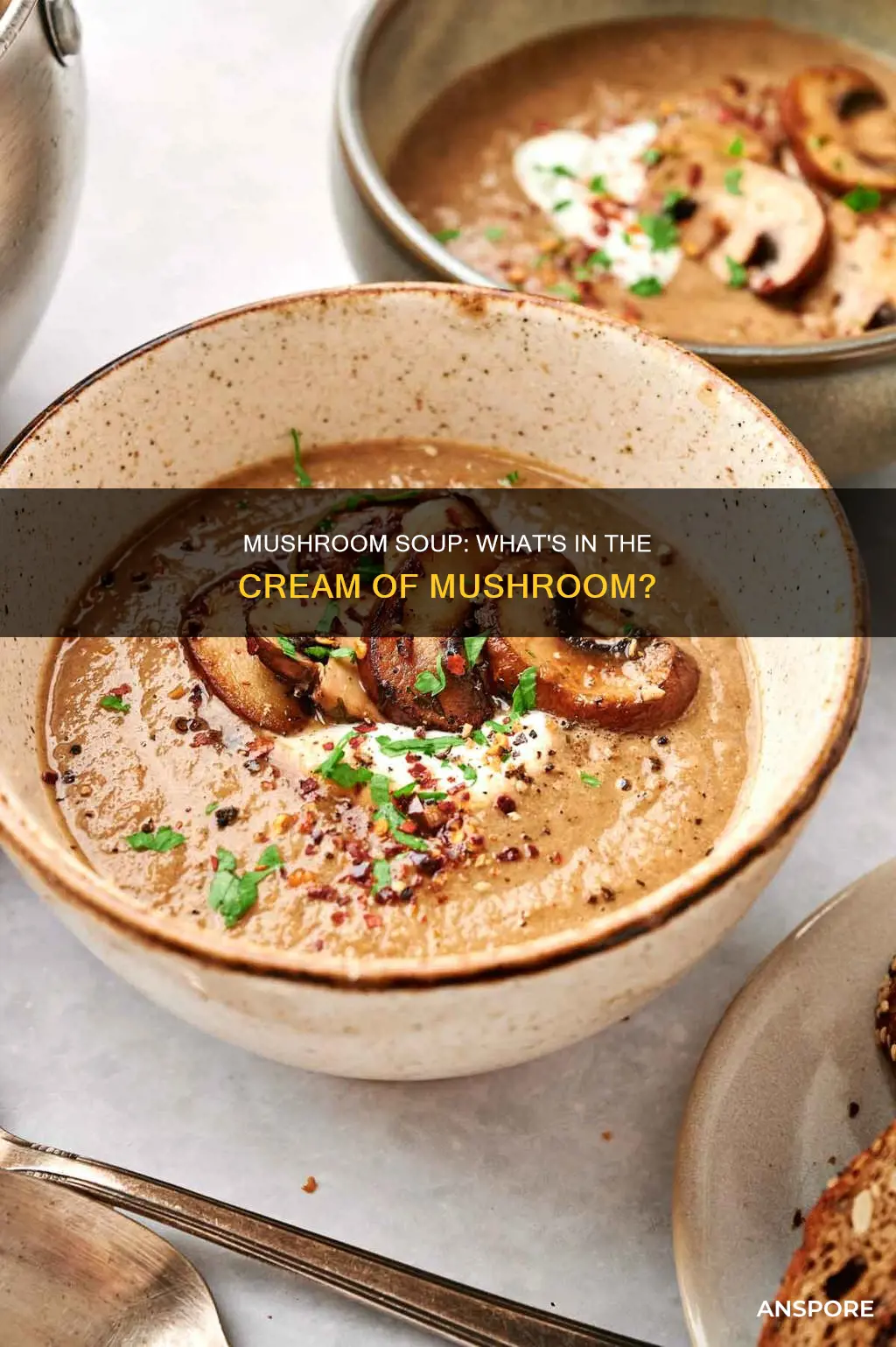 what is cream of mushroom