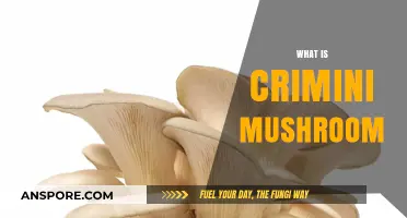 Crimini Mushrooms: Superfood or Just Super?