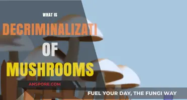Magic Mushrooms: Decriminalization and Its Impact