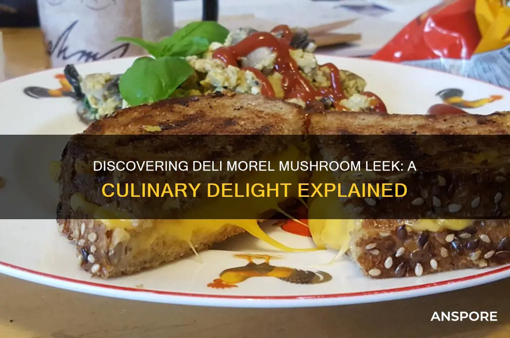 what is deli morel mushroom leek