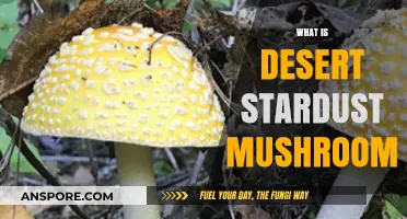 Stardust Mushrooms: Desert's Magical Fungi