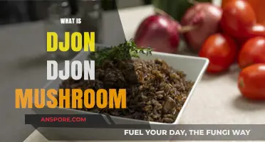 The Magic of Djon Djon Mushrooms: A Haitian Delicacy