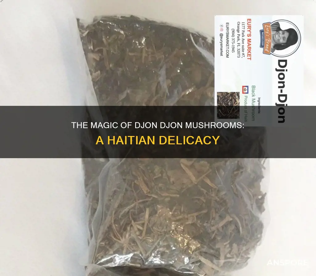 what is djon djon mushroom