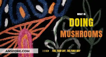 Psychedelic Experience: Magic Mushrooms