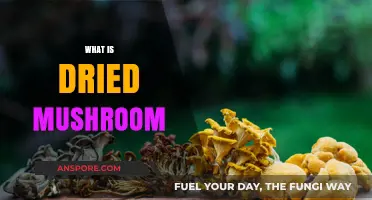 Mushroom Magic: Dried 'Shrooms, Explained