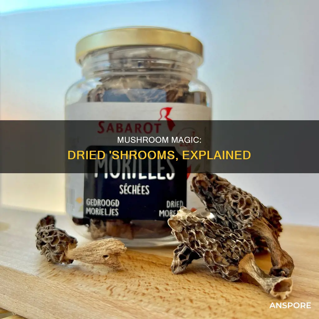 what is dried mushroom