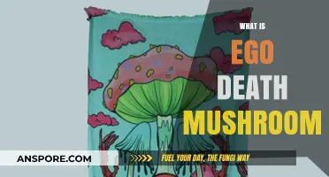Mushroom-Induced Ego Death: A Transformative Experience