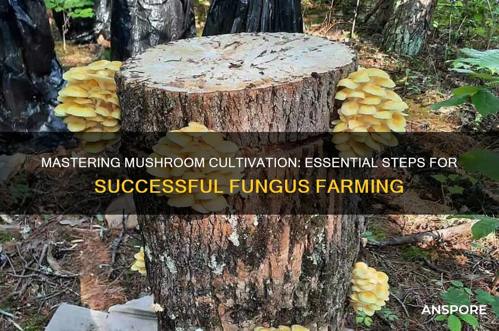 what is envolved in growing mushrooms