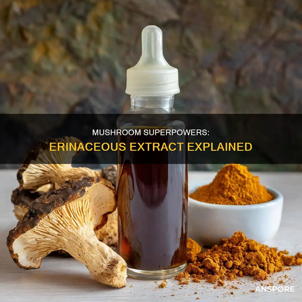 what is erinaceous mushroom extract