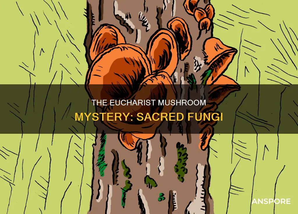 what is eucharist mushroom