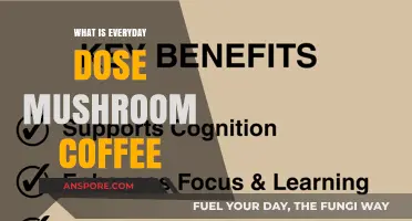 Everyday Dose Mushroom Coffee: Benefits, Uses, and How It Works