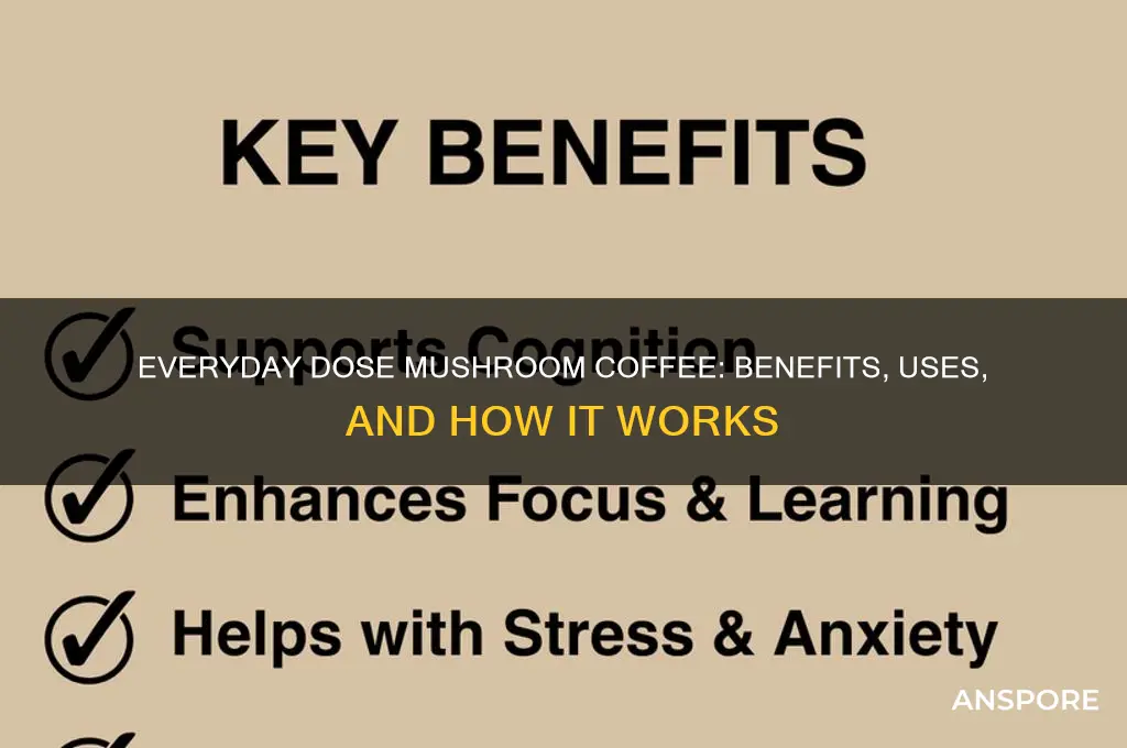 what is everyday dose mushroom coffee