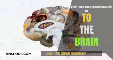 Unveiling the Mystical Effects of Magic Mushrooms on the Brain