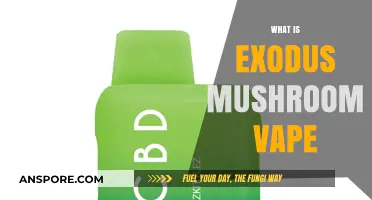 Exodus Mushroom Vape: A Revolutionary Experience