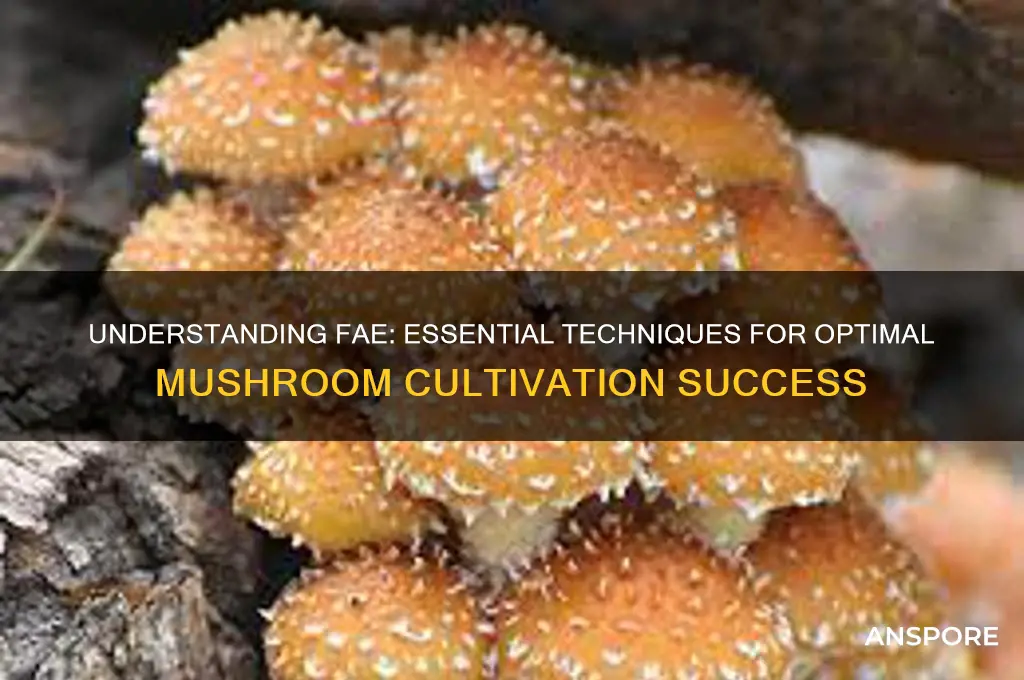 what is fae in mushroom growing
