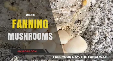 Mushroom Magic: Fanning Technique Explained