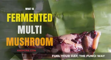 Fermented Multi Mushroom: Ancient Superfood, Modern Health