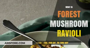 Forest Mushroom Ravioli: A Hearty, Delicious Dish