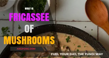 Mushroom Fricassee: A Hearty Dish for All Seasons