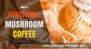 Mushroom Coffee: Superfood Blend for Energy and Focus