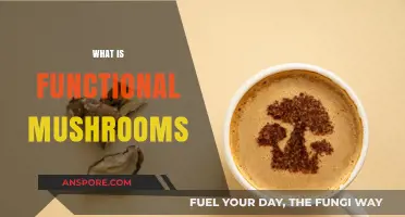 Mushroom Superpowers: Unlocking the Secrets of Functional Fungi