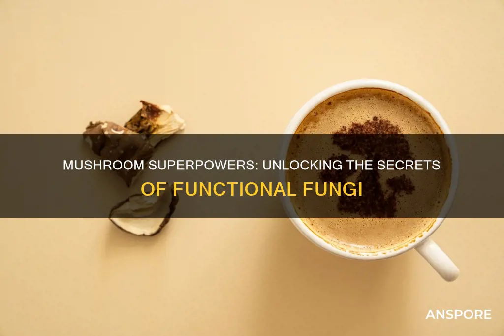 what is functional mushrooms