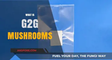 G2G Mushrooms: The Ultimate Guide to Growing Your Own