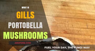 Exploring Gills: The Unique Feature of Portobello Mushrooms