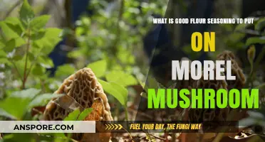 Perfect Flour Seasoning for Crispy Morel Mushrooms: A Flavorful Guide