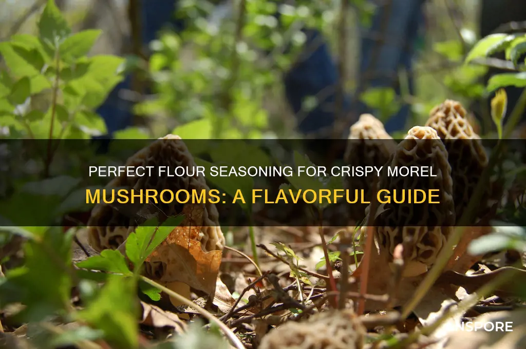 what is good flour seasoning to put on morel mushroom